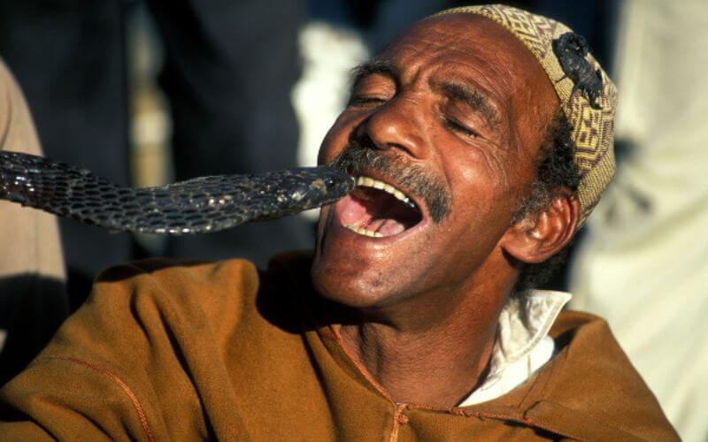 Snake Charmer Arrested in Marrakech for Scamming Tourist Over Photo