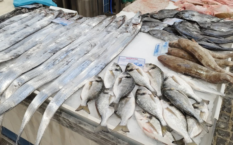Spain Blocks Moroccan Fish Imports Over Anisakis Parasite Concerns