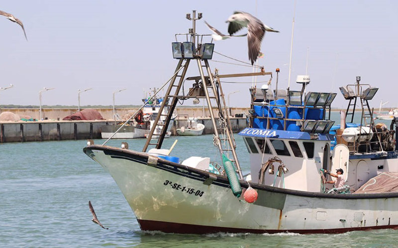 Spain Faces Crucial EU-Morocco Fisheries Agreement Renewal as EU Presidency Begins
