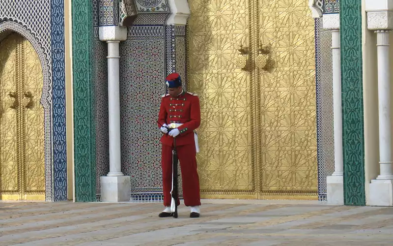 Spanish Court Upholds Moroccan Royal Family's Mandarin Variety Patent in Agribusiness Dispute