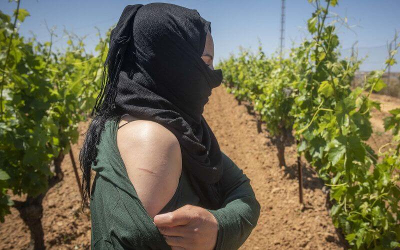 Spanish Farm Director Accused of Sexually Assaulting Moroccan Seasonal Worker