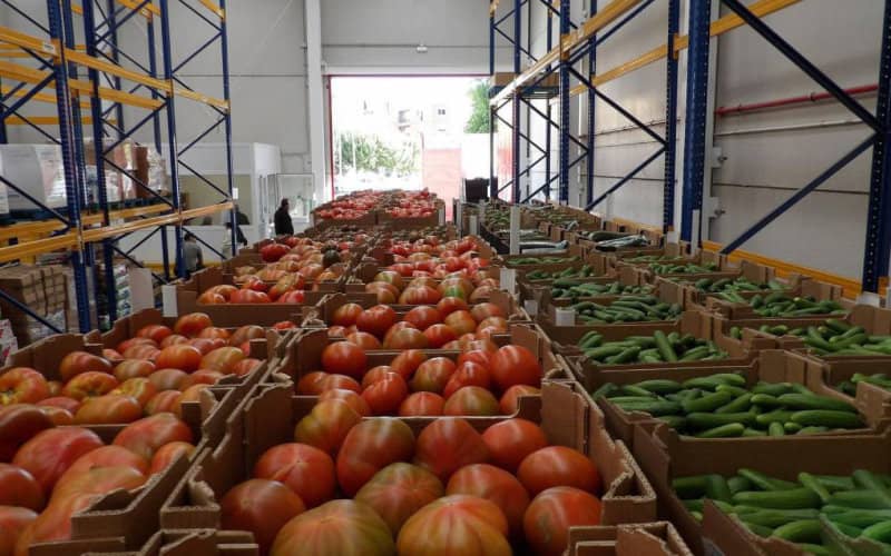 Spanish Farmers Protest as Moroccan Produce Floods EU Market, Driving Prices Down