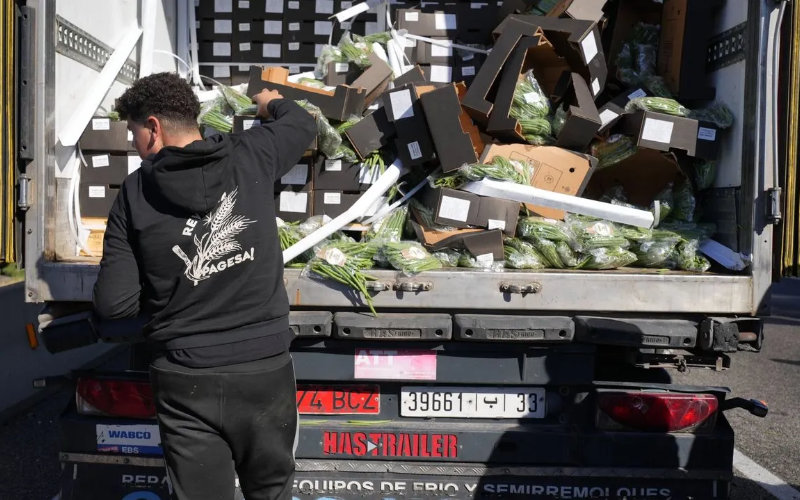 Spanish Farmers' Union Pushes for Stricter Controls on Moroccan Produce Imports