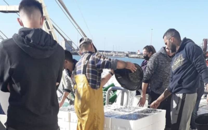 Spanish Fishing Boats Resume Operations in Moroccan Waters After License Approval