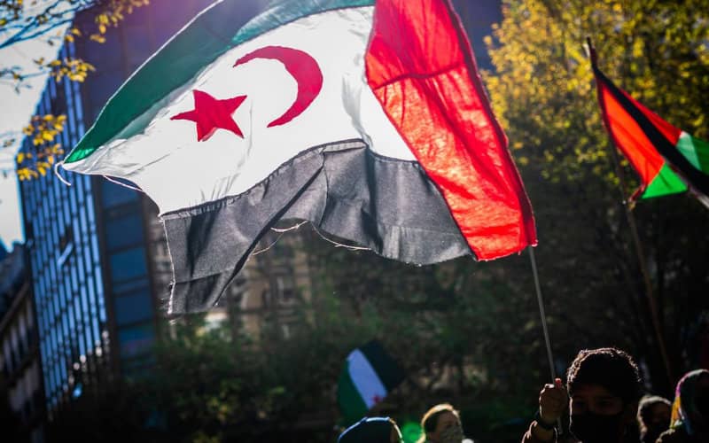 Spanish Legal Experts Condemn Government's Western Sahara Policy Shift