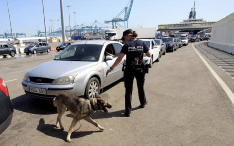 Spanish Police Brace for Surge as Morocco-Europe Travel Resumes