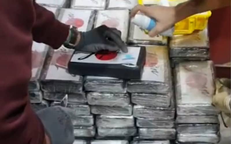 Spanish Police Bust Major Cocaine Ring: 500 Kilos Seized in Morocco-Linked Operation