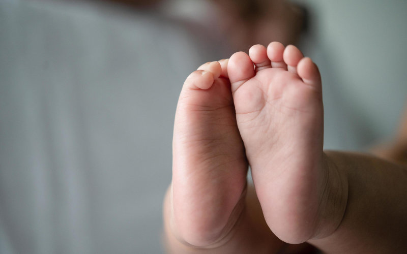 Spanish Police Uncover False Paternity Scheme in Melilla Nationality Case