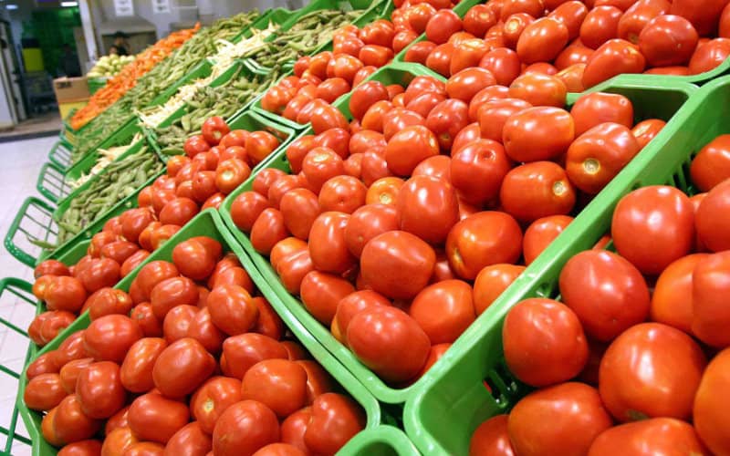 Spanish Producers Call for EU Tariffs on Moroccan Tomato Imports