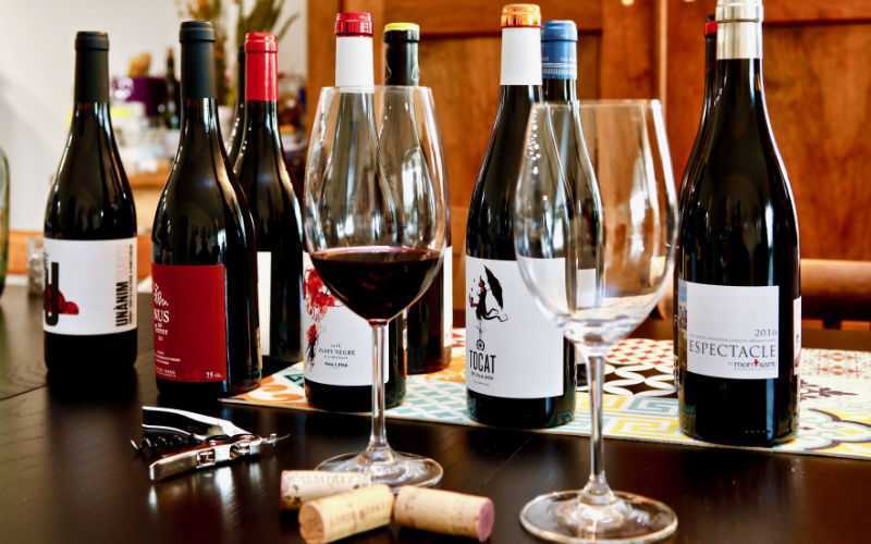 Spanish Wine Exports Surge to Record €2.9 Billion Despite Global Challenges
