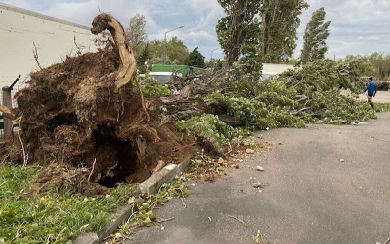 Storm Kirk Weakens, Spares Morocco as Europe Faces Heavy Rain and Wind