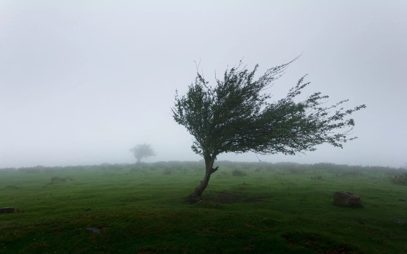 Strong Winds and Dust Storms Prompt Weather Alert Across Morocco
