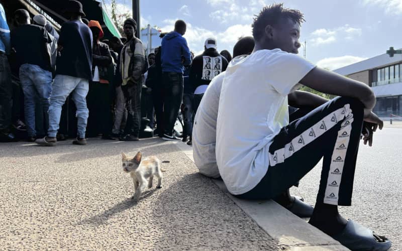 Study: One-Third of Moroccans Report Experiencing Racial Discrimination