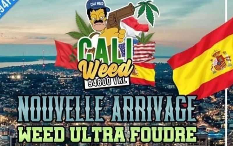 Suspect in Major Cannabis Delivery Ring Arrested at Paris Airport