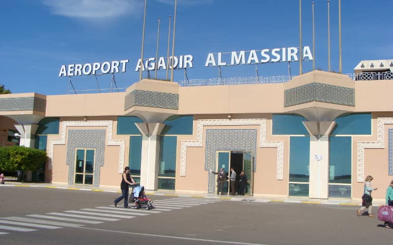 Swedish Tourist Caught Smuggling 1,600 Reptiles at Moroccan Airport