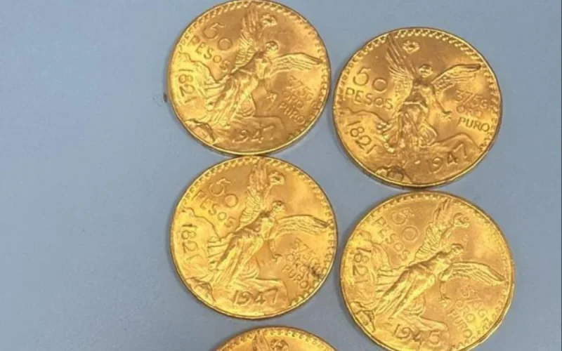 Tanger Med: A French Moroccan Arrested with 43 Gold Coins