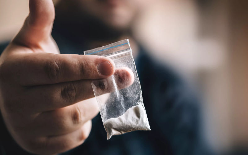 Tangier Politician's Family Arrested in Major Cocaine Trafficking Bust