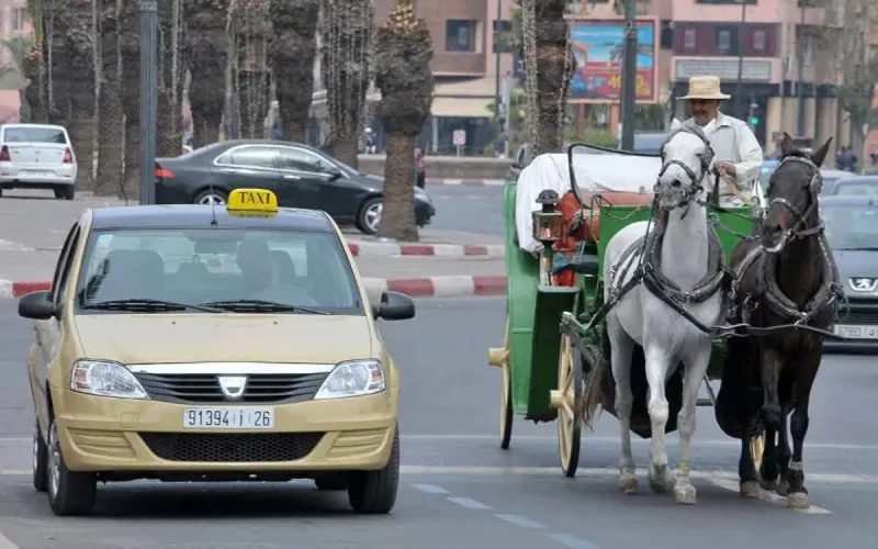 Taxi war in Morocco: Laftit finally tackles the "lobbies" of the "grimates