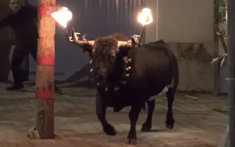 Teen Dies After Bull Attack During Spanish Town Festival