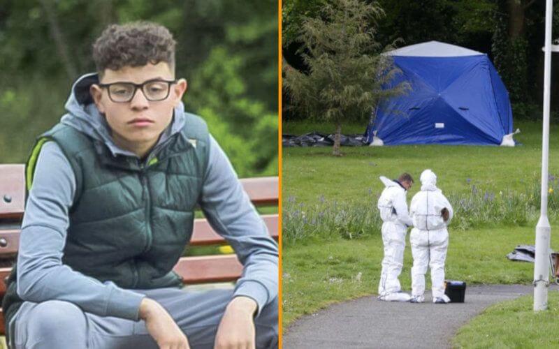 Teen Suspect Surrenders After Fatal Stabbing of 18-Year-Old in Dublin Park