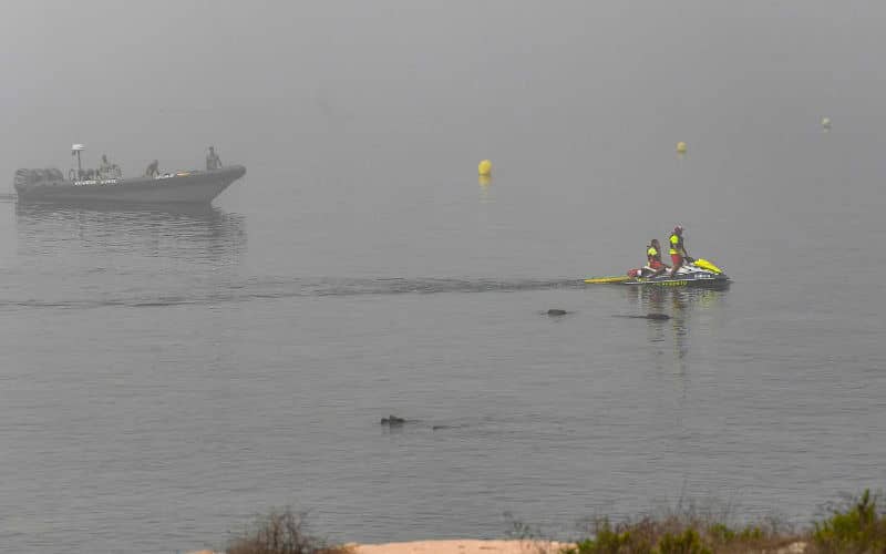 Teenage Migrant's Body Repatriated to Morocco After Fatal Ceuta Border Crossing Attempt