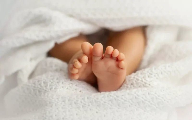 Terrorist", "future dealer": the first baby of Avignon targeted by a racist raid, his parents file a complaint