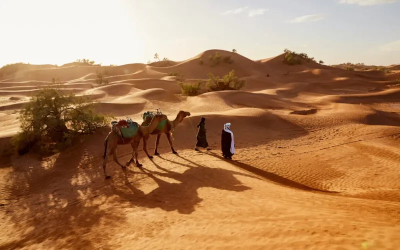 These adventurers who spend 3000 euros to "get lost" in Morocco
