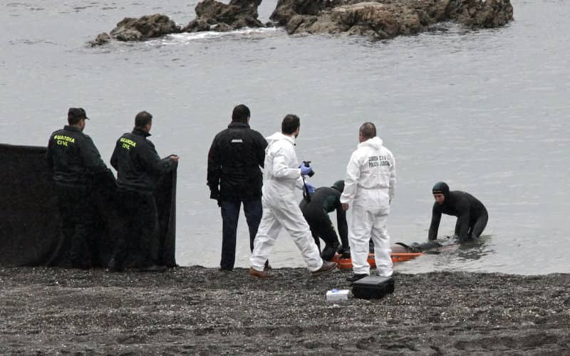 Third Moroccan Migrant's Body Found on Ceuta Beach in One Week