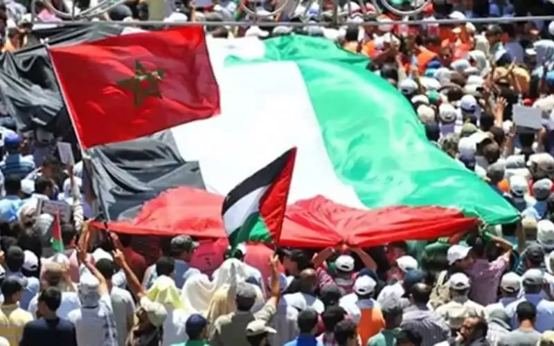 Thousands March in Casablanca Against Morocco-Israel Ties, Gaza War