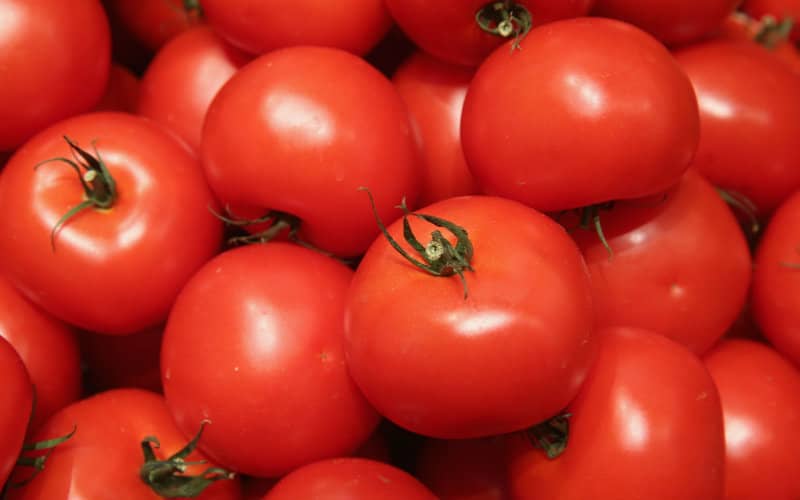Tomato Prices Soar in Morocco Ahead of Ramadan, Sparking Consumer Outrage