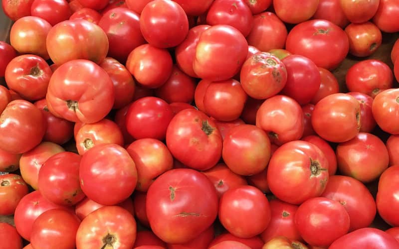 Tomato Prices Surge in Morocco: Government Cites Global Demand Ahead of Ramadan