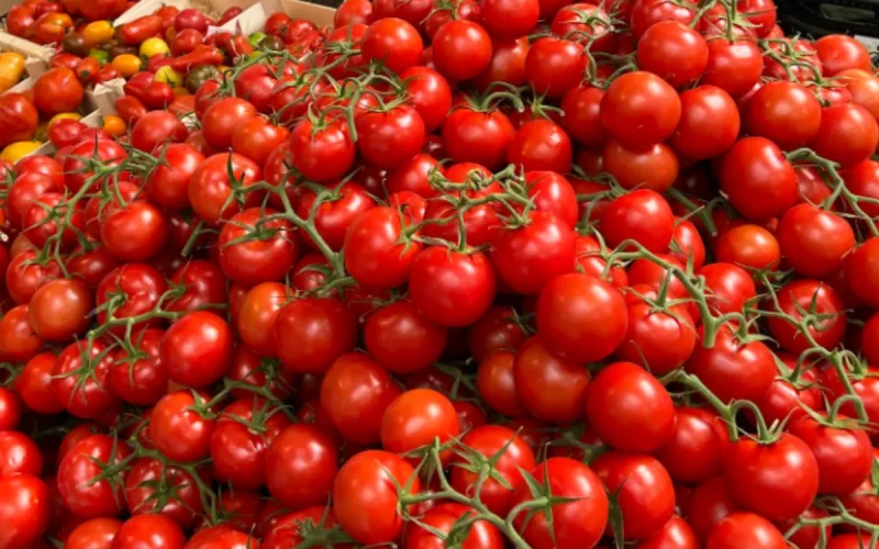 Tomatoes at €5 per kilo: Why Morocco's crisis is exploding your grocery bill in France!