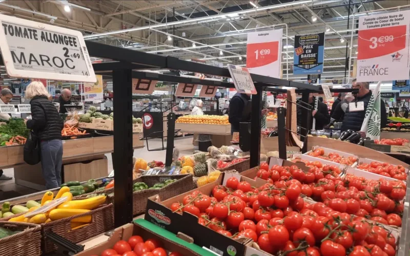 Tomatoes: Morocco doubles France and settles on the world podium