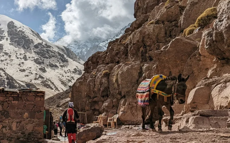 Toubkal Ascent: Morocco's Berber Valleys and New Mountain Tourism