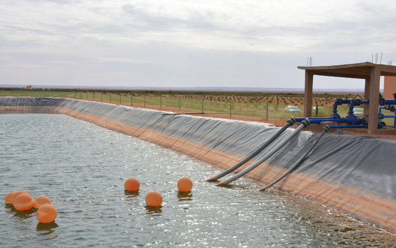 Tragic Drowning Claims Four Lives at Moroccan Farm's Water Basin