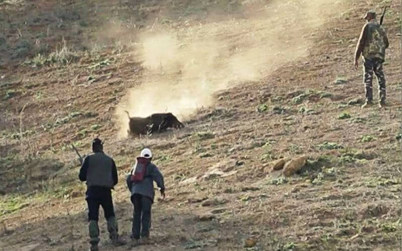 Tragic Hunting Accident: 24-Year-Old Killed by Stray Bullet in Taounate, Morocco
