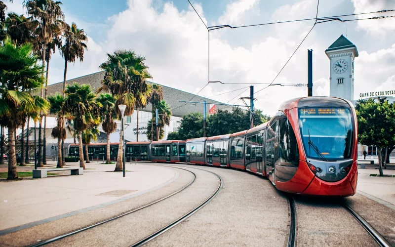 Tramway and buses in Casablanca: the city pays the difference