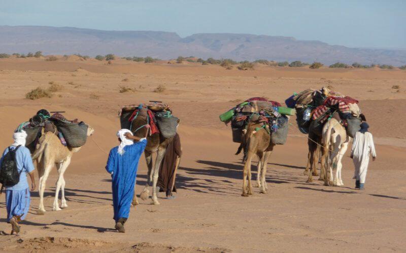 Tribal Tensions Flare Near Agadir Airport as Authorities Intervene in Nomadic Dispute