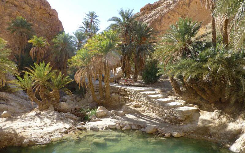 Tunisia Tourism Minister Touts Southern Landscapes Over Marrakech