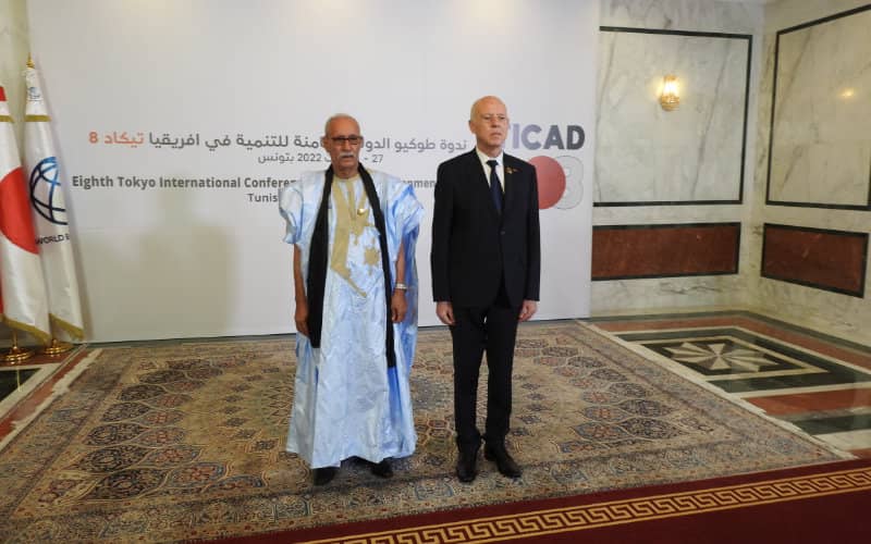 Tunisian Ex-Diplomat Criticizes Polisario Leader's Invitation to TICAD, Citing Morocco Tensions