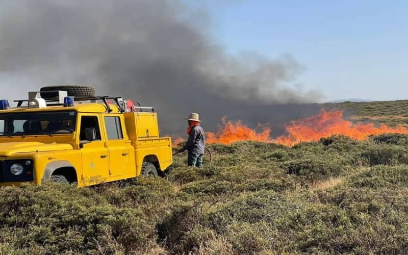 Two Brothers Arrested for Allegedly Starting Forest Fire in Ifrane, Morocco