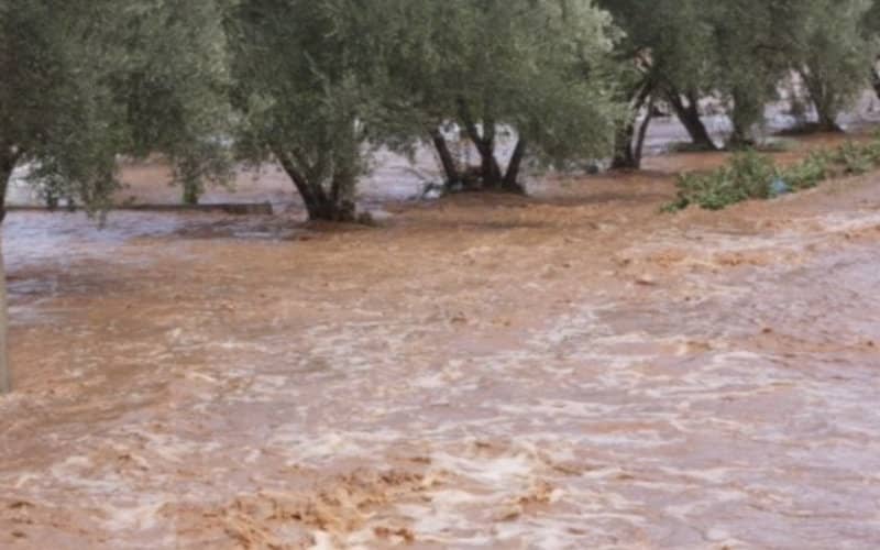Two Teens Die in Moroccan Rainstorm Tragedy as Flooding Hits Taroudant Region