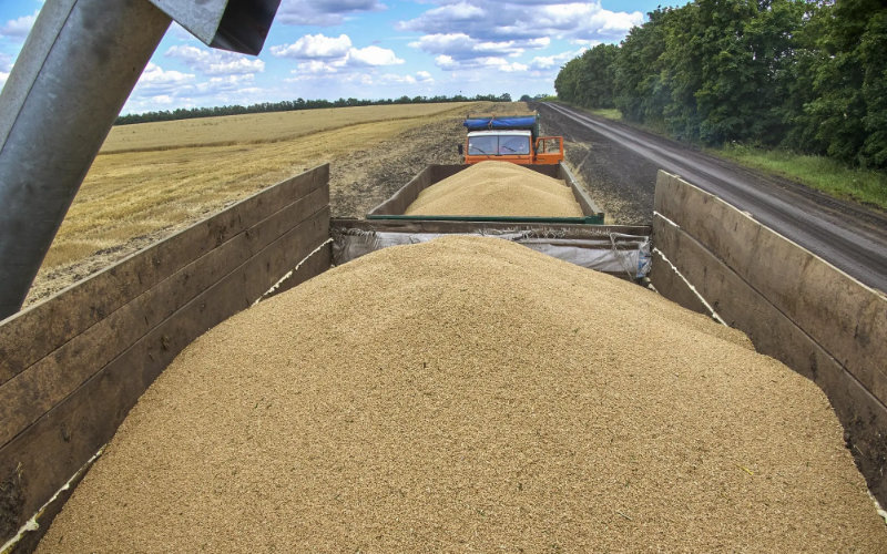 Ukraine Ships Final Grain Cargo as Black Sea Deal Nears Expiration