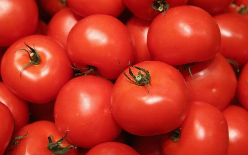 EU Urged to Enforce Morocco Trade Deal Amid Tomato Price Concerns