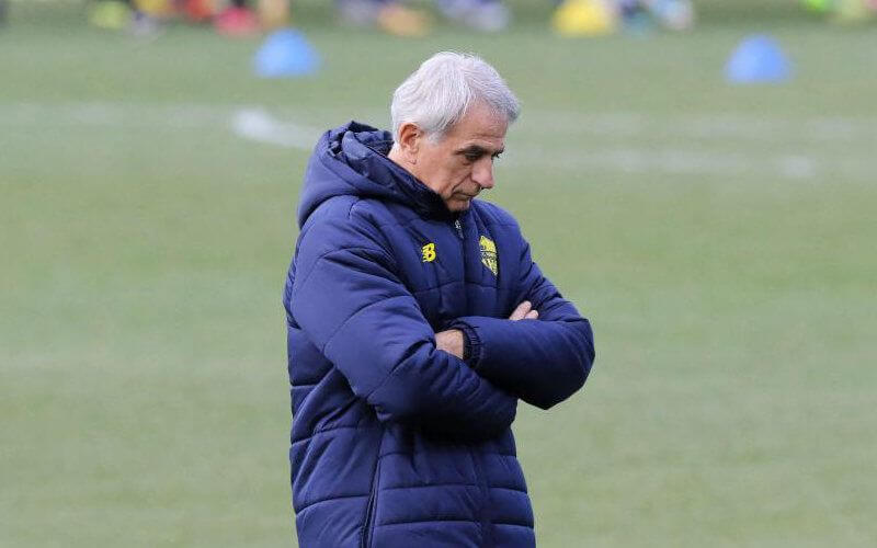 Vahid Halilhodžić Poised to Coach Morocco National Team, Pending Conditions