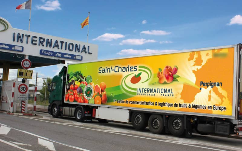 Visa Crackdown on Moroccan Drivers Disrupts European Fruit and Vegetable Supply Chain