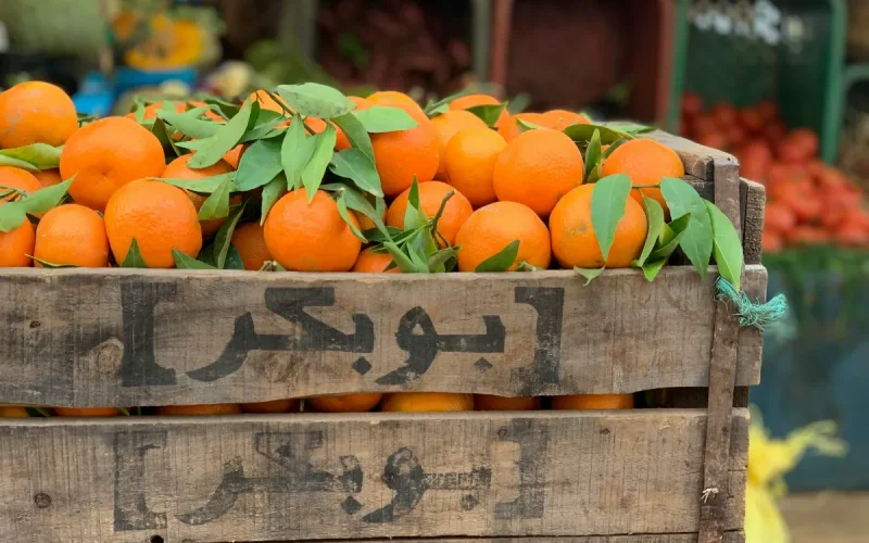 Why your oranges are going to become more expensive