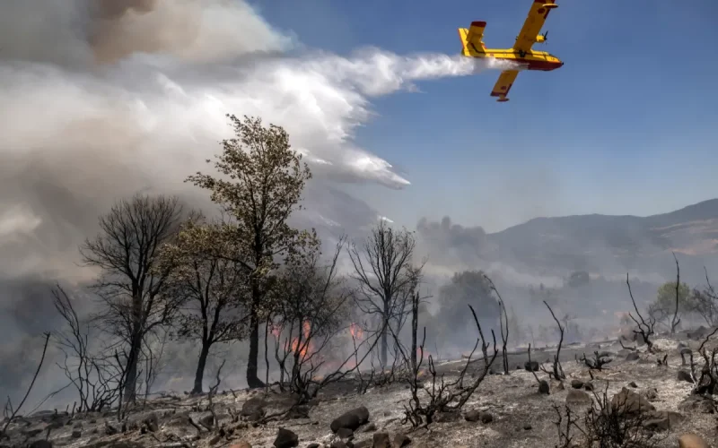 Wildfires in Morocco: the Rif and Atlas classified as being at extreme risk this week