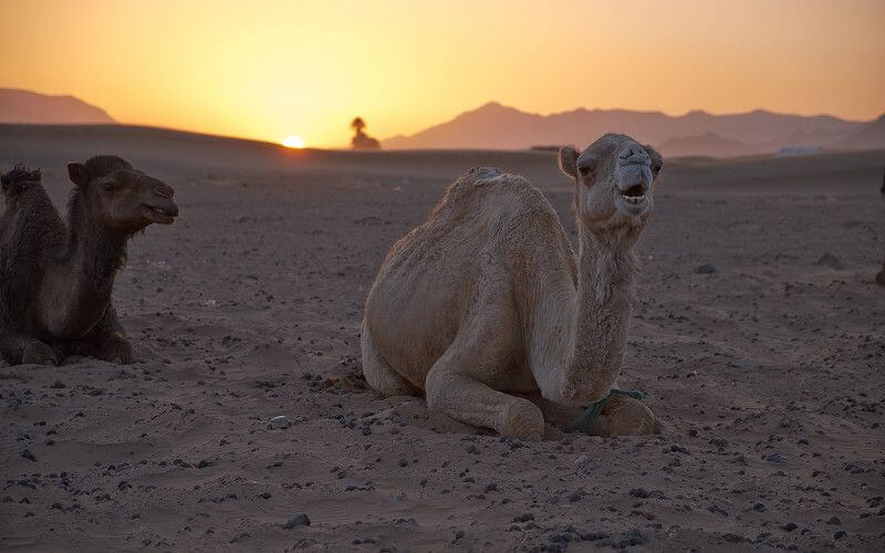 WMO Forecasts Above-Average Temperatures for Morocco in Coming Months