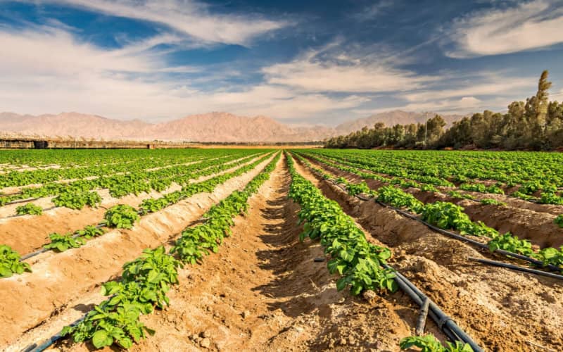 World Bank to Grant Morocco $180 Million Loan for Drought Resilience and Irrigation